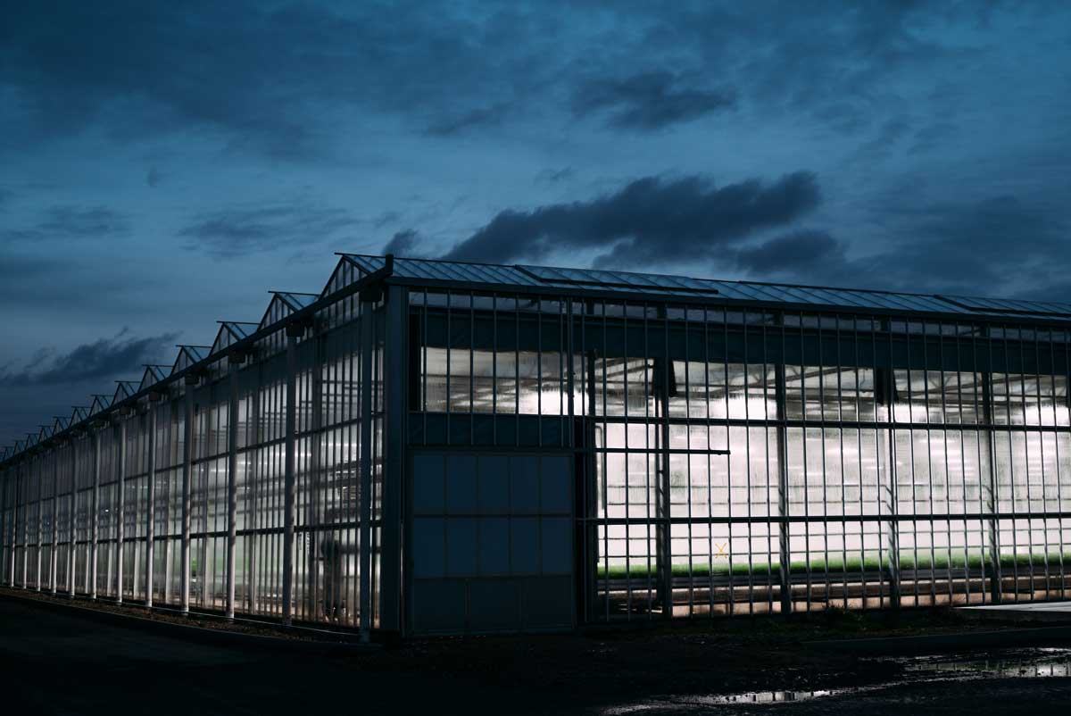Greenhouse from the outside
