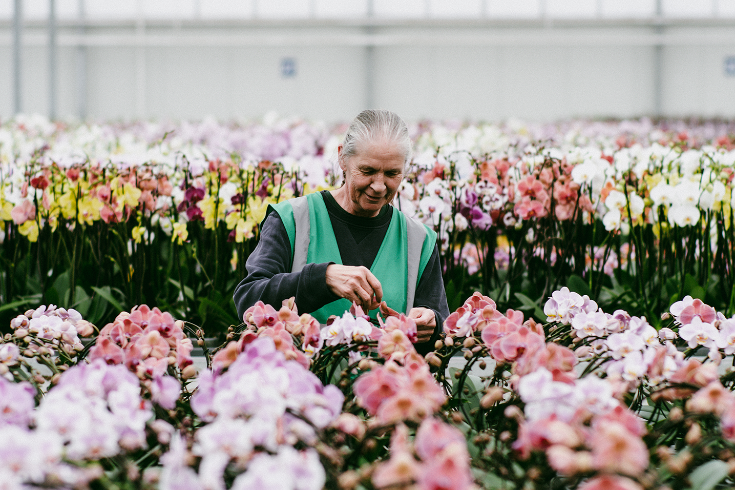 women in a greenhouse with orchid