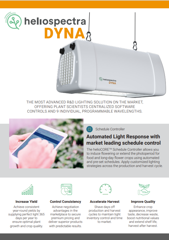 DynaLight - Lampe LED à Détecteur de Mouvement - Steloria™