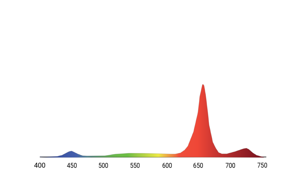 Ceres spectrum R80F