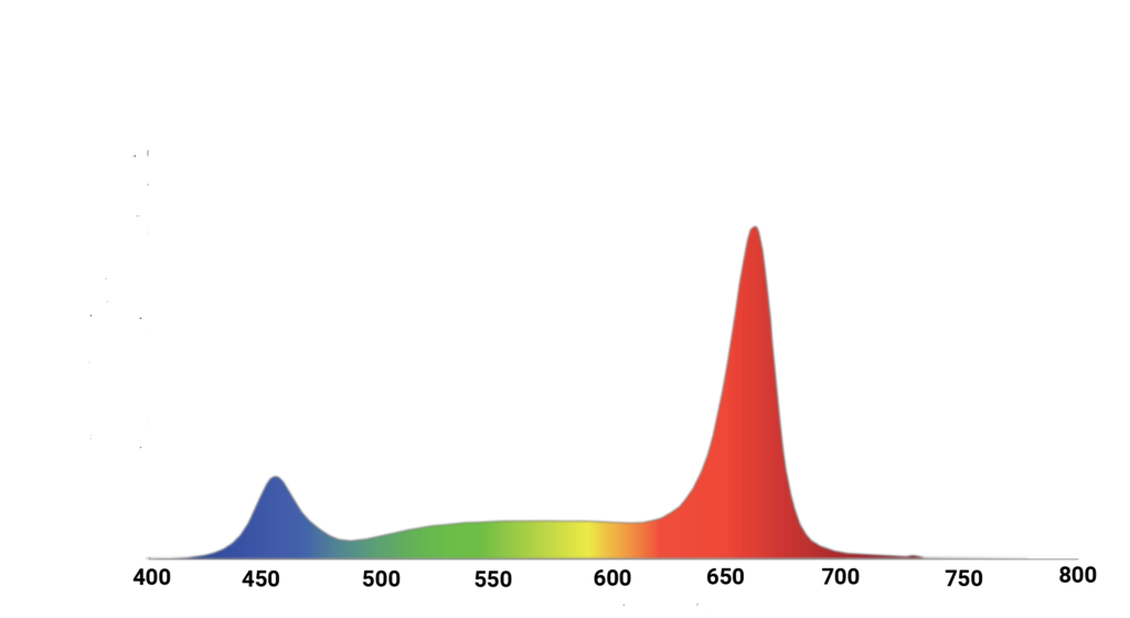 Mitra X spectrum, R60