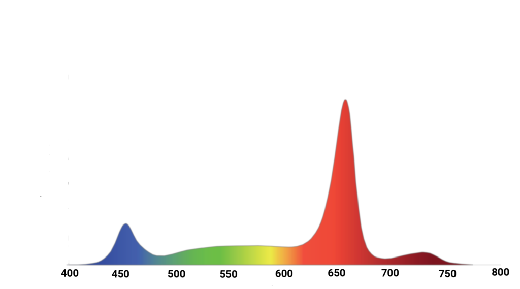 Mitra X spectrum, R60F