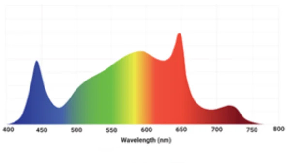 LED spectrum