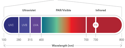 Picture showing the span of wavelength (nm)