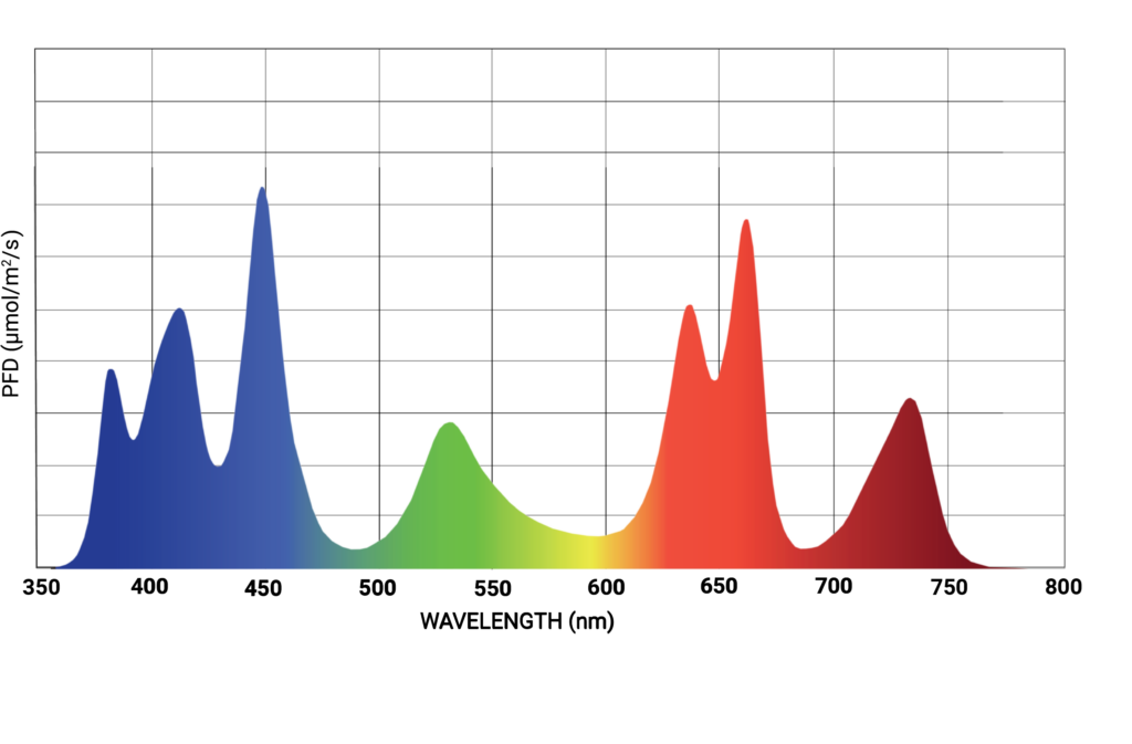 DYNA C9 spectrum graph