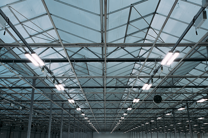 Greenhouse with Mitra X lights