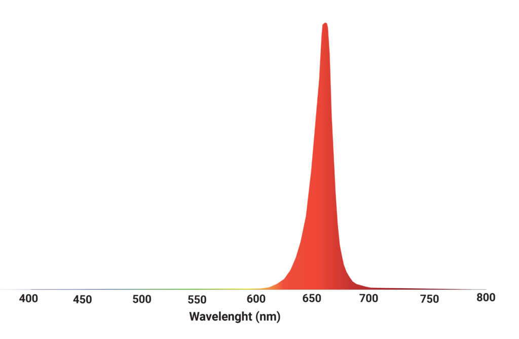 Mitra multi-channel spectrum_multi4_opt1