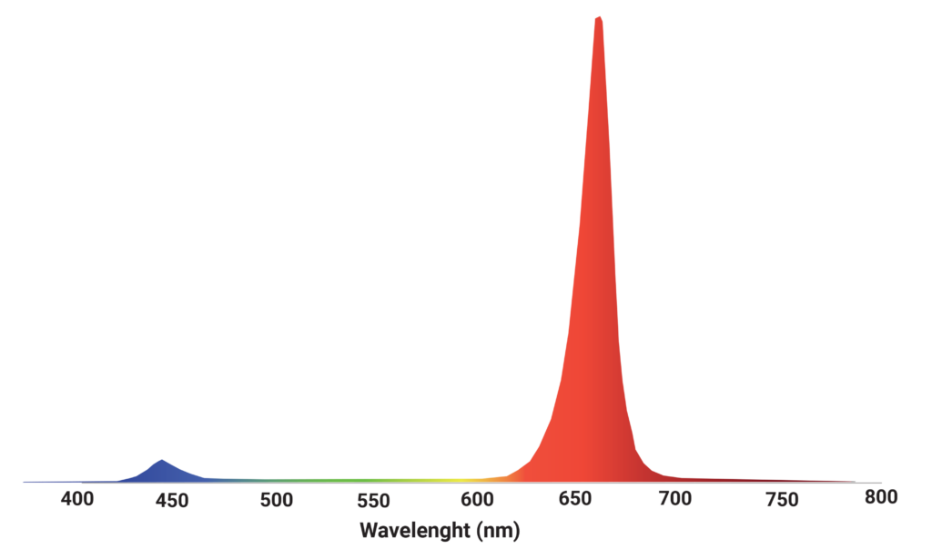 Mitra multi-channel spectrum_multi4_opt1