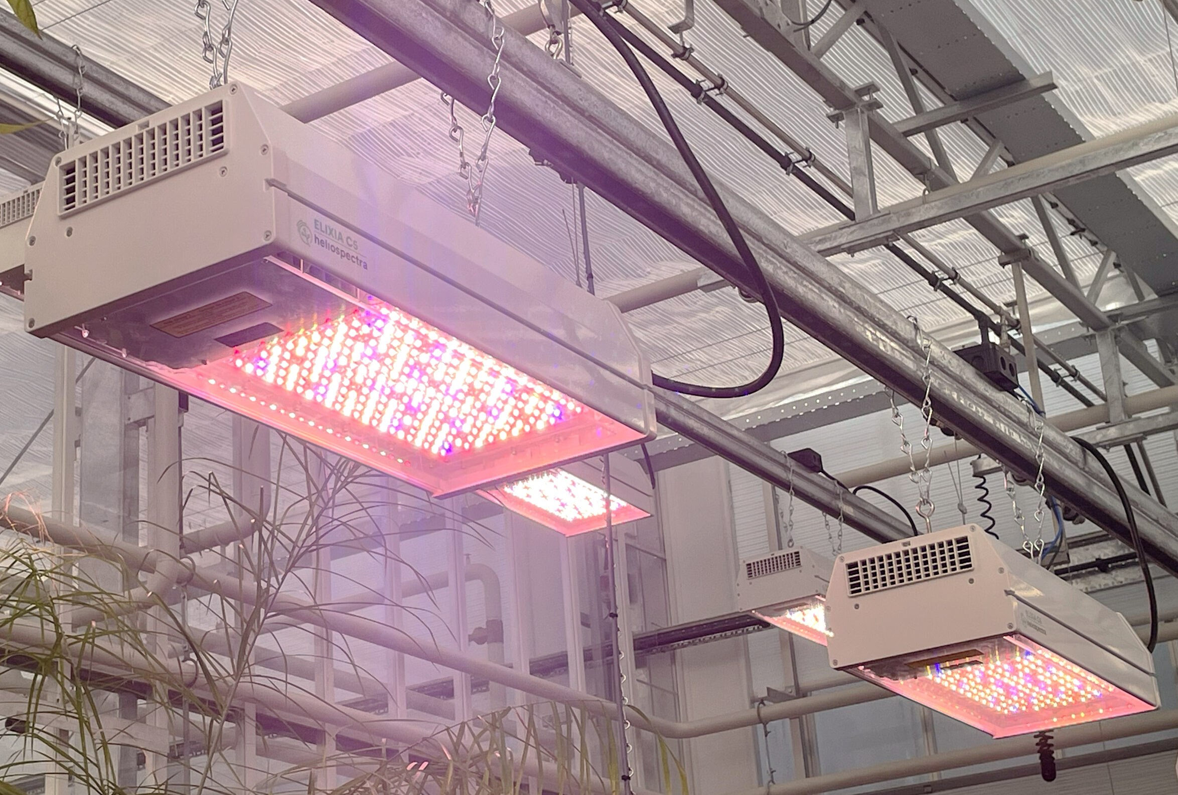 ELIXIA LED light at Kew Gardens