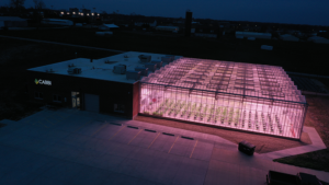 Cabbi research center greenhouse
