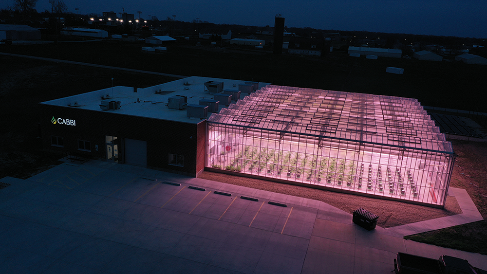 Cabbi research center greenhouse