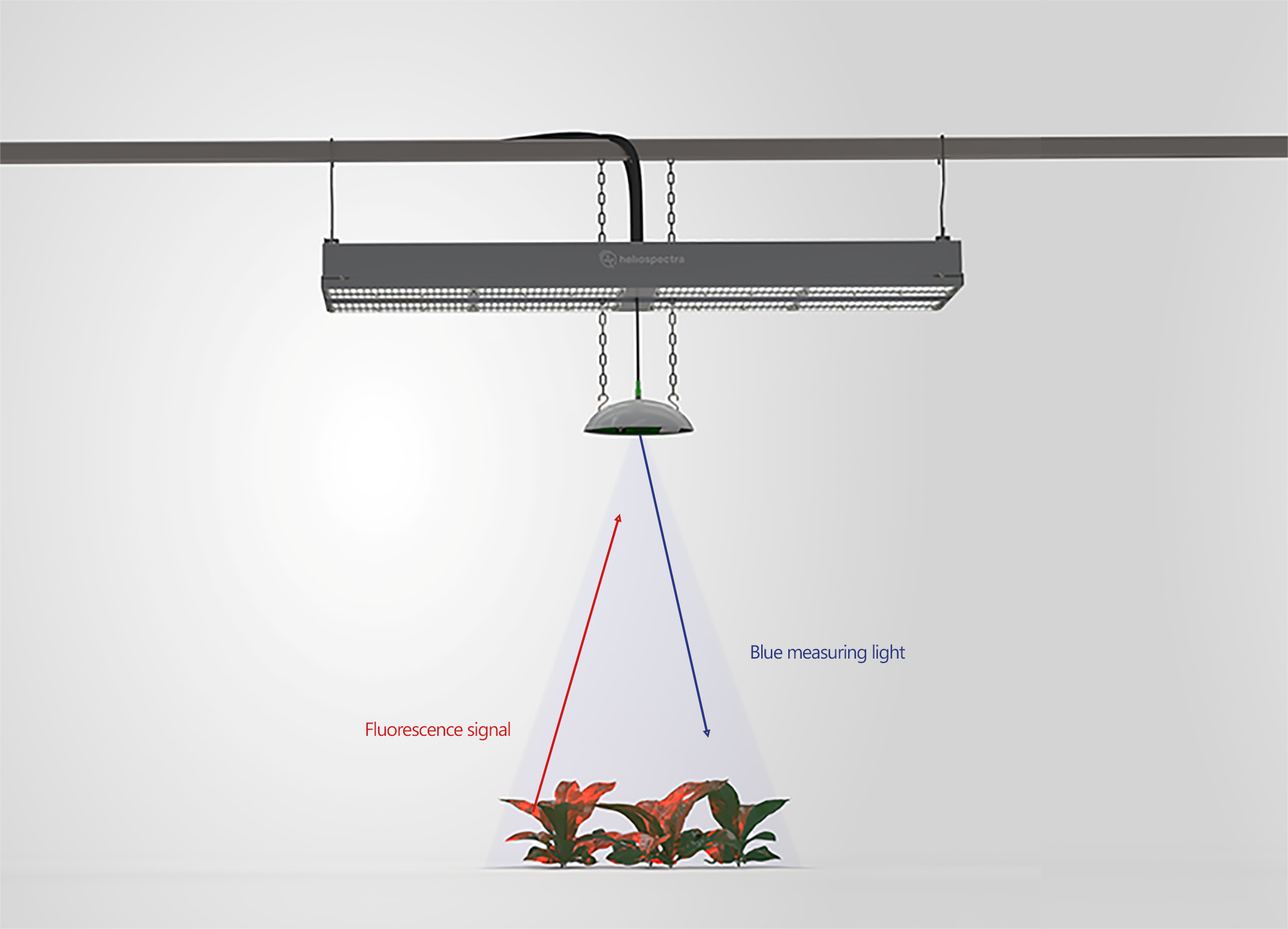 optimal light helioSENSE