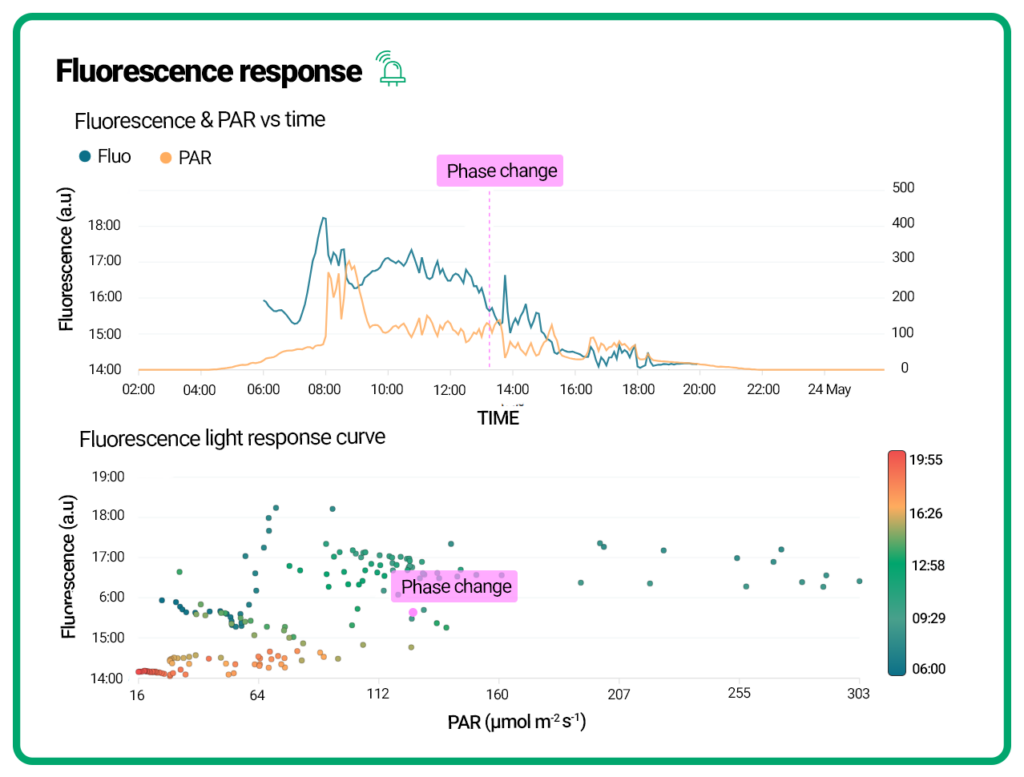 CAM phase detection helioSENSE