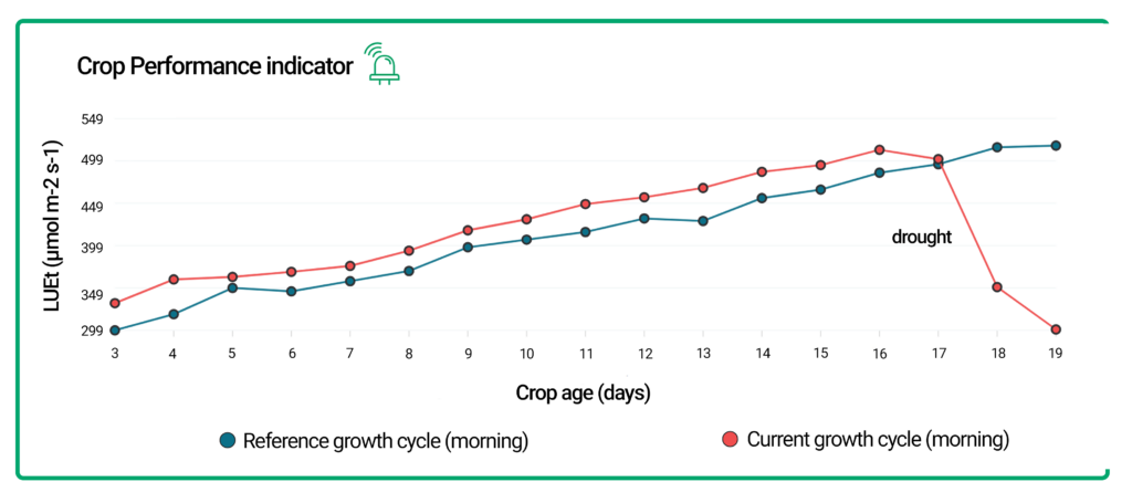 Crop Performance indicator helioSENSE